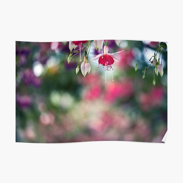 Impressionist Poster