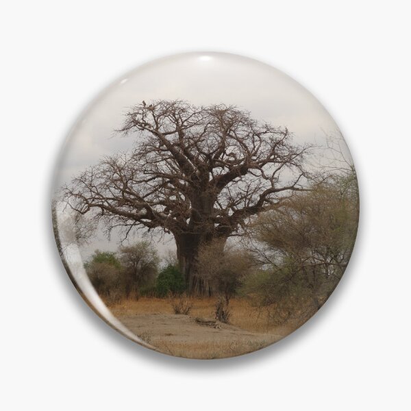 Artikelvorschau, Afrika, Tansania, Bäume, Baobab, Affenbrotbaum, Fotografie, BebiCervin entworfen und verkauft von BebiCervin.