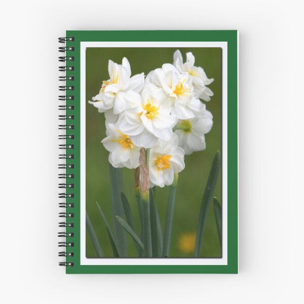 Item preview, Daffodils in spring designed and sold by GerryBuckel.