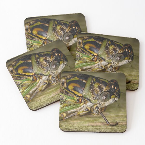 Item preview, Canadian Cicada 1 designed and sold by Robert Alsop.