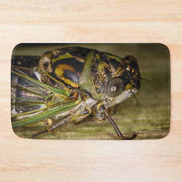 Item preview, Canadian Cicada 1 designed and sold by Robert Alsop.