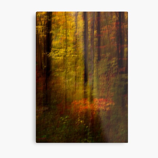 Rising Young Star Metal Print