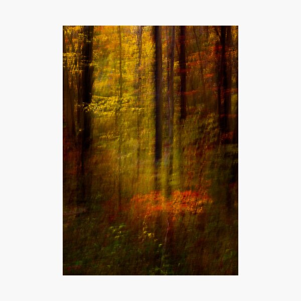 Rising Young Star Photographic Print