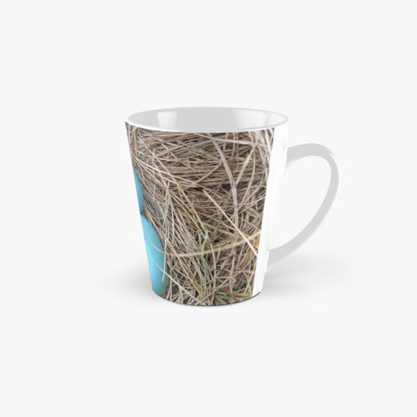 robins egg Tall Mug