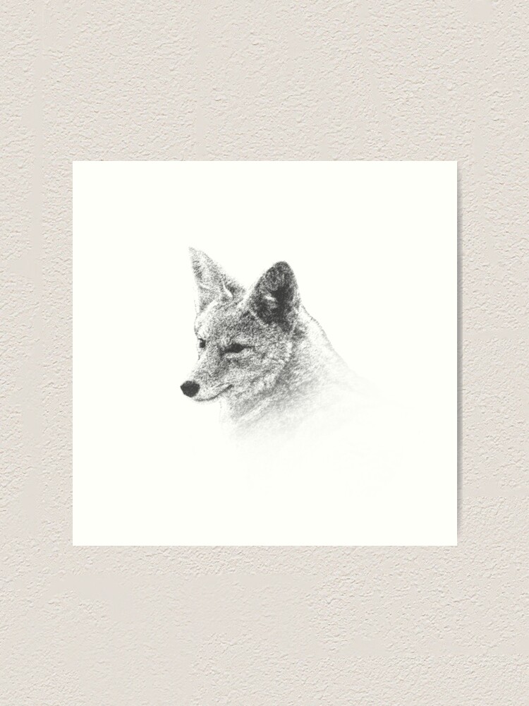 Lamina Artistica Dibujo De Perfil De Coyote De Christofferson Redbubble