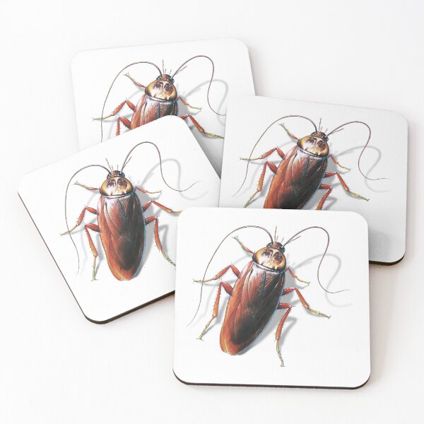Item preview, Cockroach designed and sold by Salmoneggs.