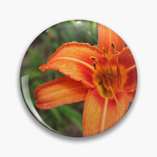 Item preview, Flower designed and sold by Sérgio Rodrigues Garcez Filho.