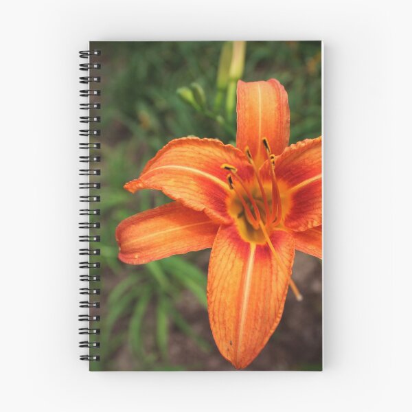 Item preview, Flower designed and sold by Sérgio Rodrigues Garcez Filho.