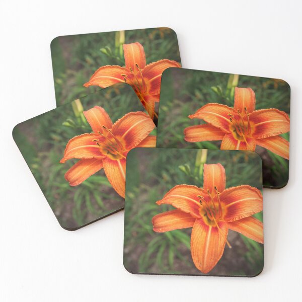 Item preview, Flower designed and sold by Sérgio Rodrigues Garcez Filho.