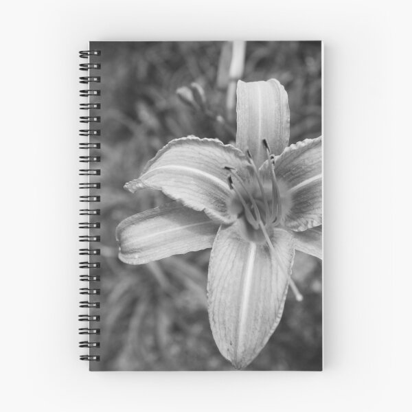 Item preview, Flower designed and sold by Sérgio Rodrigues Garcez Filho.