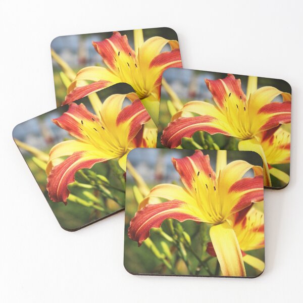 Item preview, Flowers designed and sold by Sérgio Rodrigues Garcez Filho.