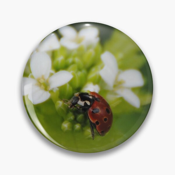 Item preview, Ladybird designed and sold by Photography  by Mathilde.