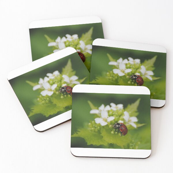 Item preview, Ladybird designed and sold by Photography  by Mathilde.