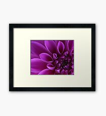 Flower macro Framed Print