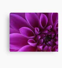 Flower macro Canvas Print