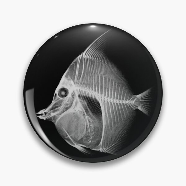 Item preview, Fish Skeletons designed and sold by LilBrainStorm.