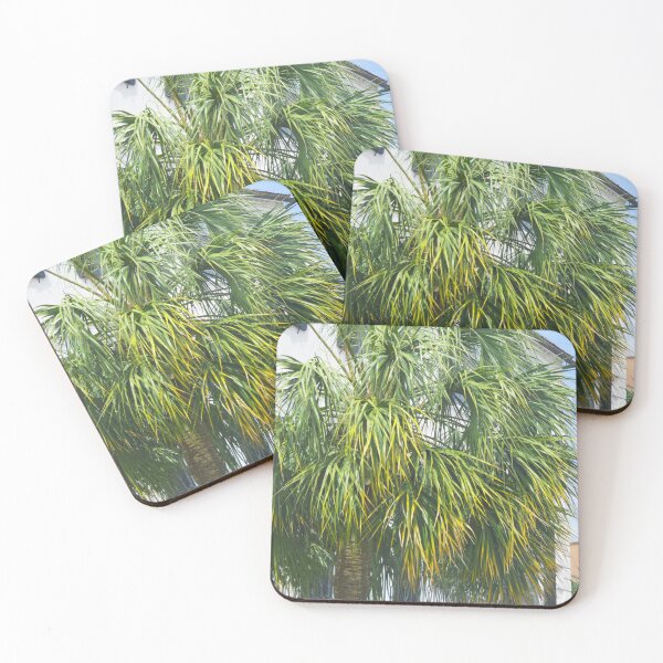 Item preview, Downtown Palmetto designed and sold by Nature's Reflections.