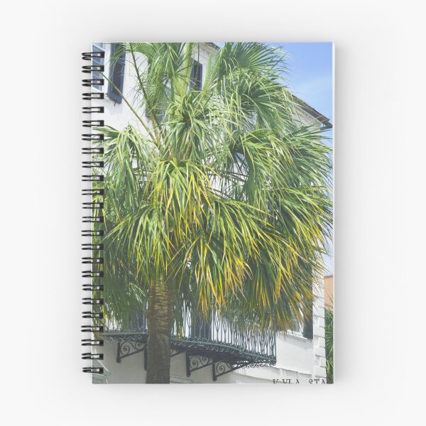 Item preview, Downtown Palmetto designed and sold by Nature's Reflections.