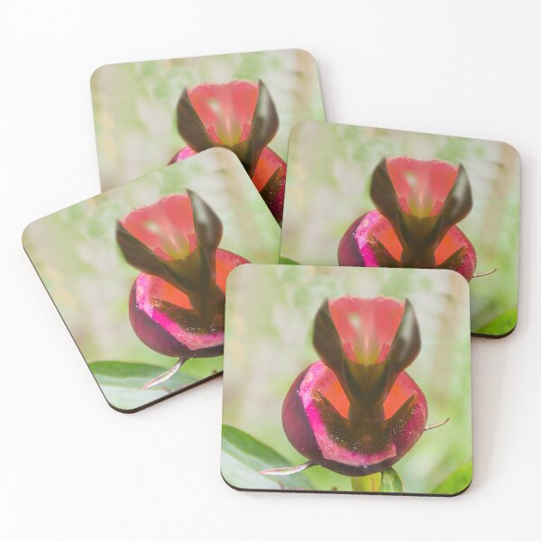 Item preview, The essence of the peony designed and sold by RenateMaria.