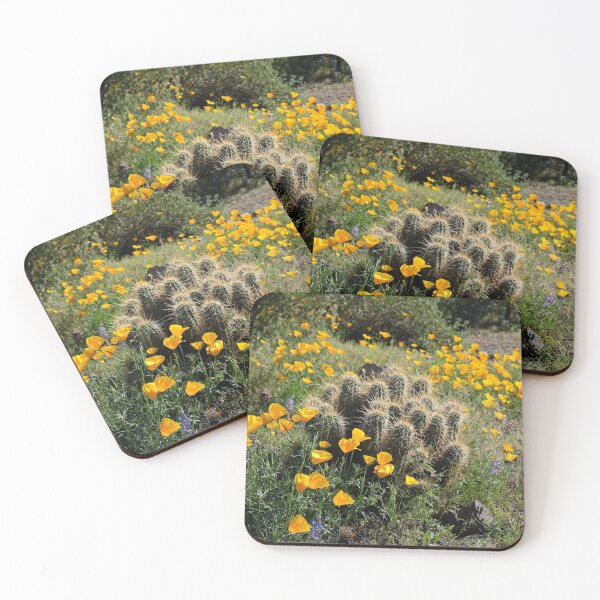 Item preview, Springtime Splendor on the Desert Floor designed and sold by Lucinda Walter.
