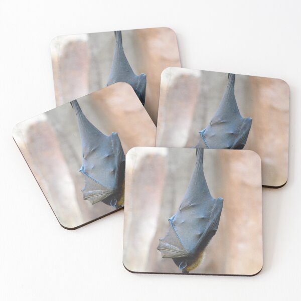 Item preview, Flying Fox designed and sold by Nature's Reflections.