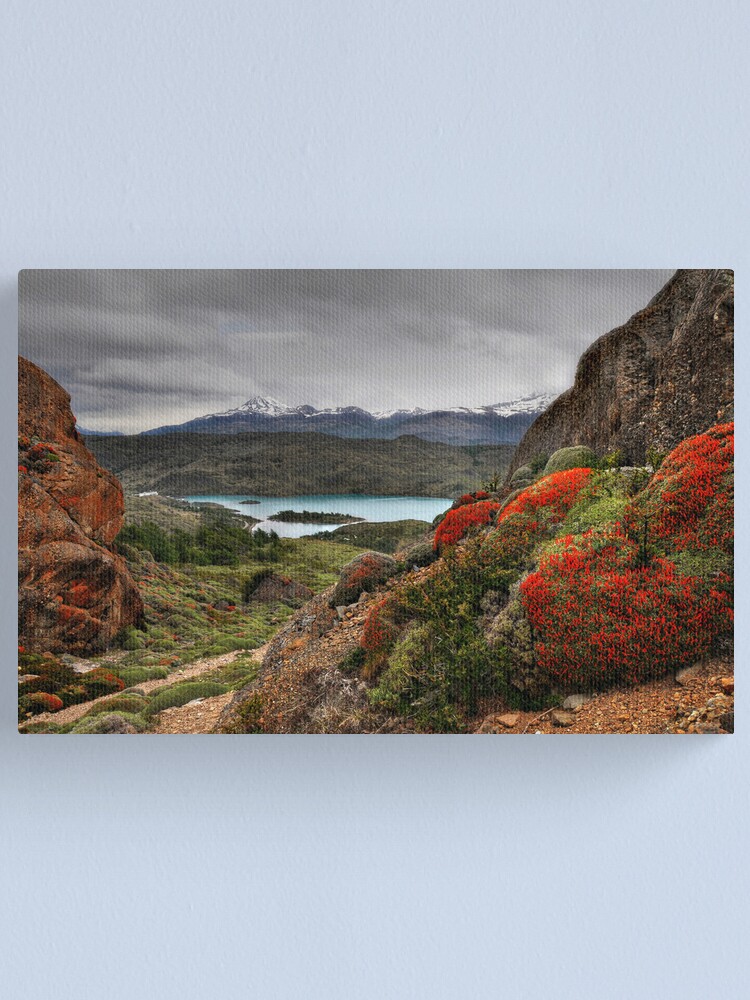 Alternate view of Flame Bushes, Laguna and Mountains Canvas Print