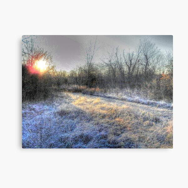 Frosty Trails Metal Print
