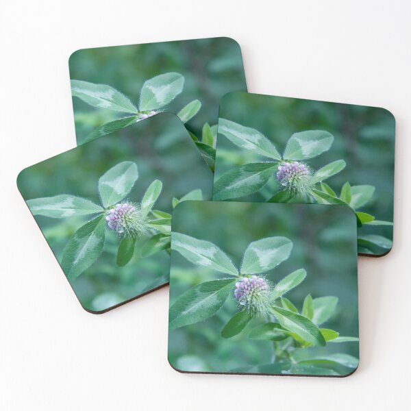 Item preview, Special wild grass designed and sold by RezieMart.