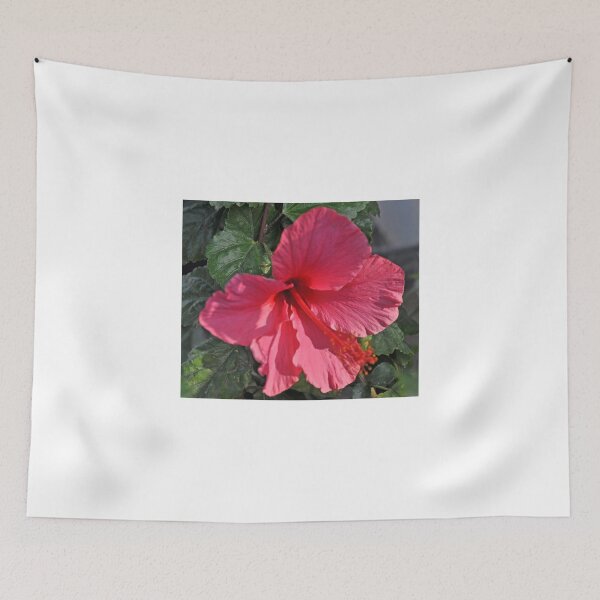 Item preview, REDDISH-MAGENTA HIBISCUS designed and sold by JAYMILO.