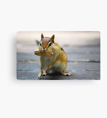 Brunch Time Canvas Print