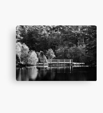 Down by the Pond Canvas Print