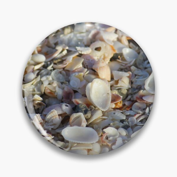 Item preview, Seashells designed and sold by PhilipBrown.