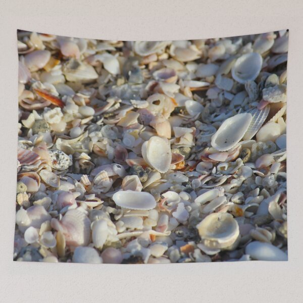 Item preview, Seashells designed and sold by PhilipBrown.