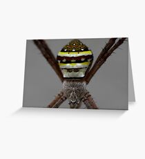 Silver Rider Greeting Card