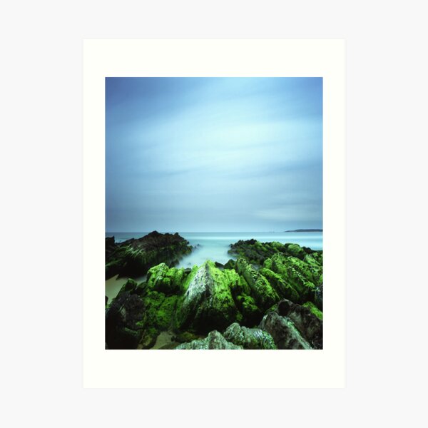 "Beachular Mosstrophy" ∞ Barragga Bay, NSW - Australia Art Print