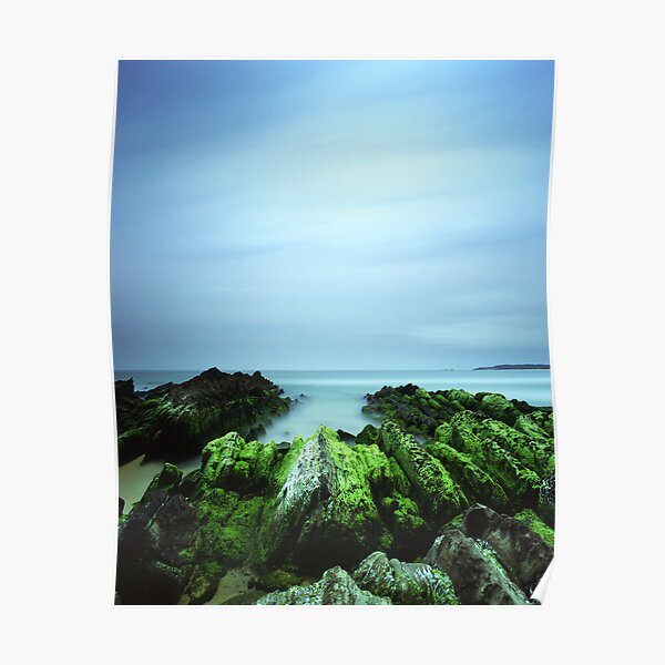 "Beachular Mosstrophy" ∞ Barragga Bay, NSW - Australia Poster