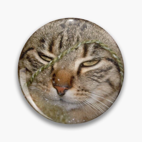 Item preview, Valuable cat designed and sold by Ana Belaj.