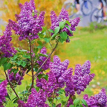 Artwork thumbnail, Spring is in the air by Travelways