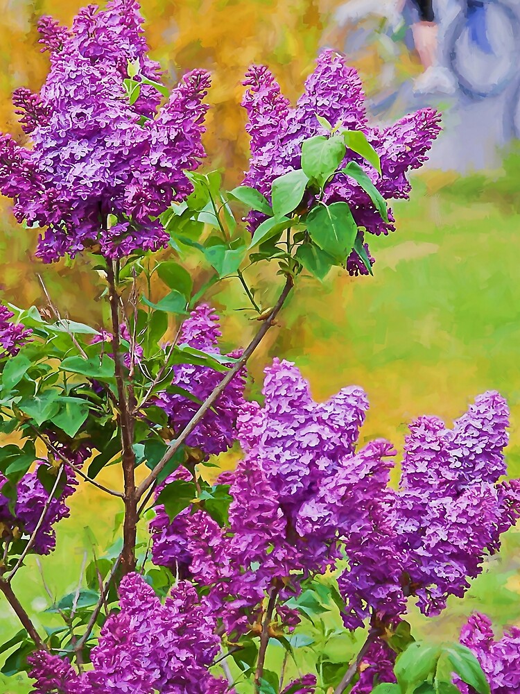 Spring is in the air by travelways