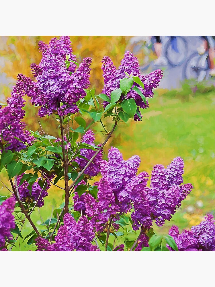 Spring is in the air by travelways