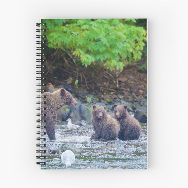 Item preview, Alaskan Grizzly with Cubs designed and sold by Bruce Alexander.