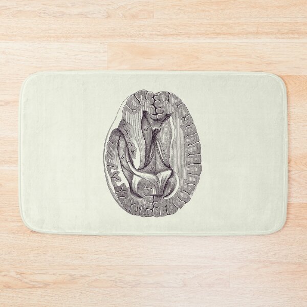 Item preview, Human Brain - Simple Aerial View - Anatomy Poster 2 designed and sold by VAposters.