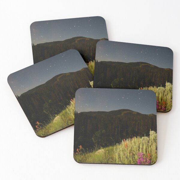 Item preview, Wildflowers on a Moonlit Night | Snowy Range Mountains designed and sold by voz-captures.