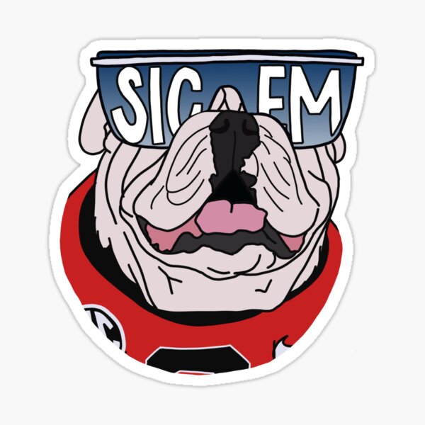Uga Gameday Sunglasses Sticker