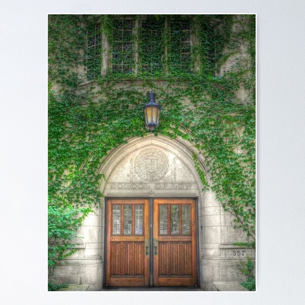 Item preview, Chicago School of Law designed and sold by bannercgtl10.