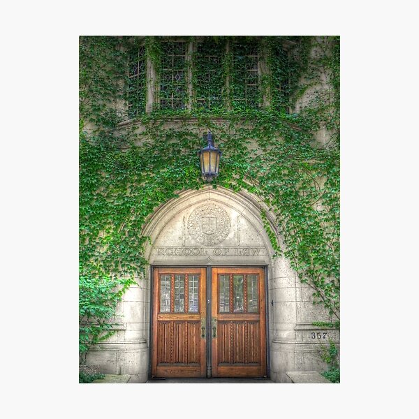 Item preview, Chicago School of Law designed and sold by bannercgtl10.
