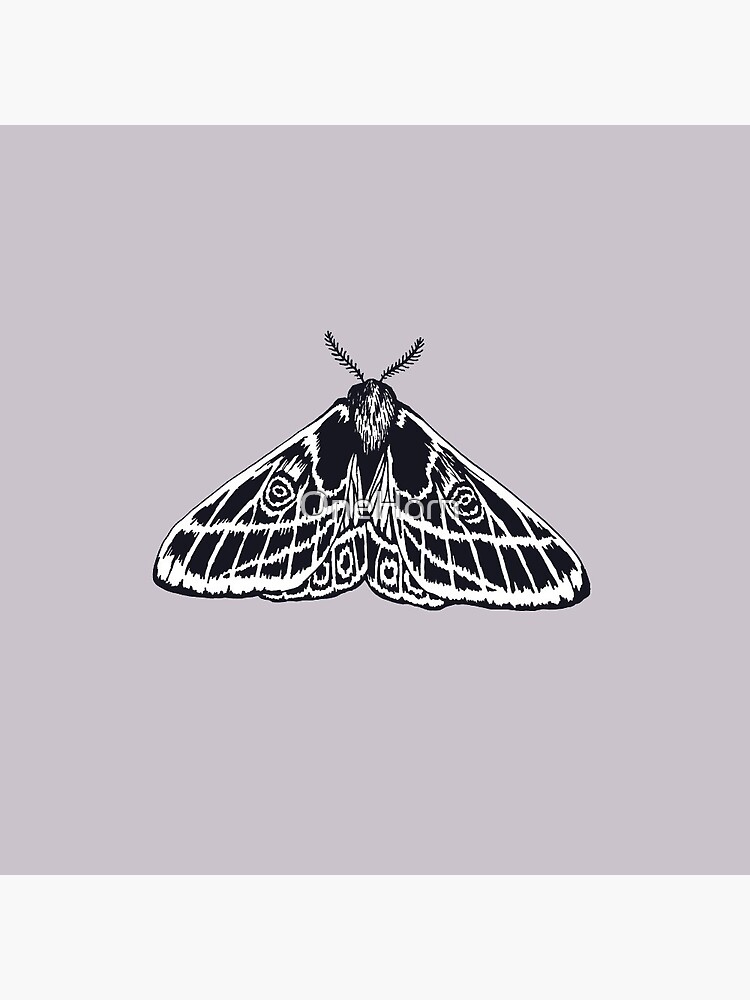 Moth with Folded Wings Pin