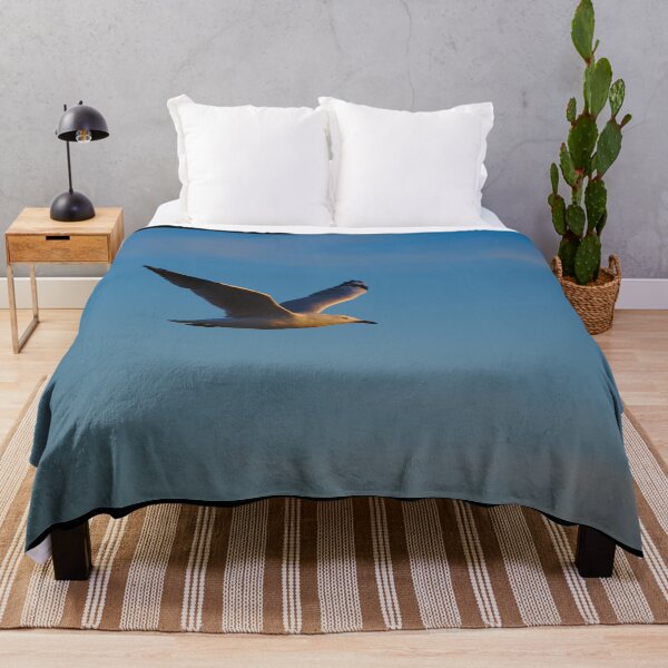 Item preview, A Seagull Flying At Dawn Against Clear Skies designed and sold by Jason Gilbert.