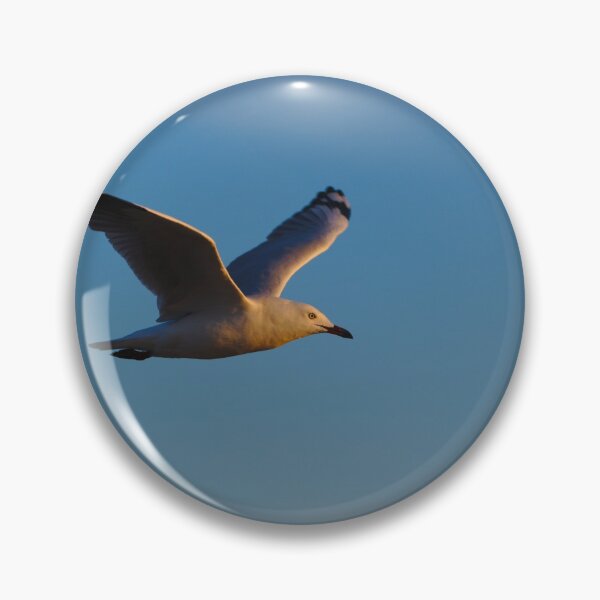 Item preview, A Seagull Flying At Dawn Against Clear Skies designed and sold by Jason Gilbert.