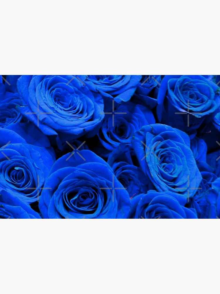 Vinilo para portátil «Rosas azules, foto floral romántica de bígaro, ramo  floral azul real» de hollycooper | Redbubble